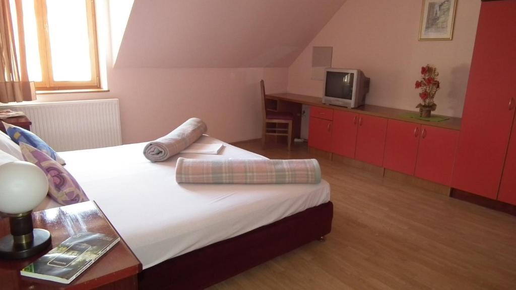 Nasa Tvrdava Guest Accommodation Nowy Sad Pokój zdjęcie