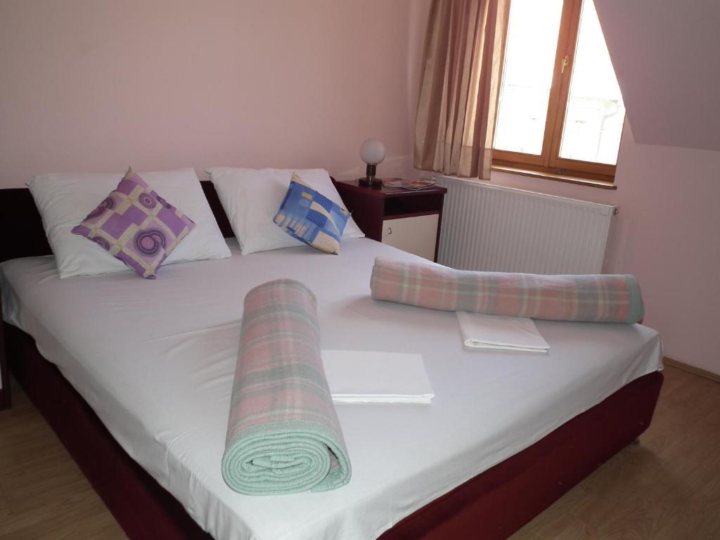 Nasa Tvrdava Guest Accommodation Nowy Sad Pokój zdjęcie