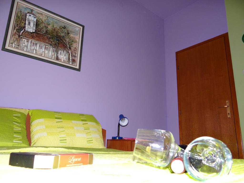 Nasa Tvrdava Guest Accommodation Nowy Sad Zewnętrze zdjęcie